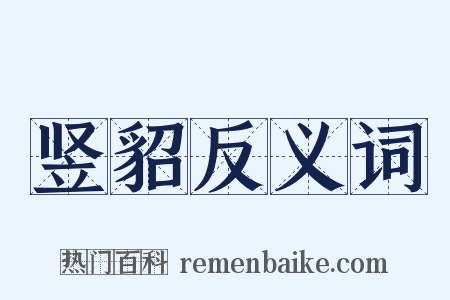 竖貂反义词是什么意思的图片